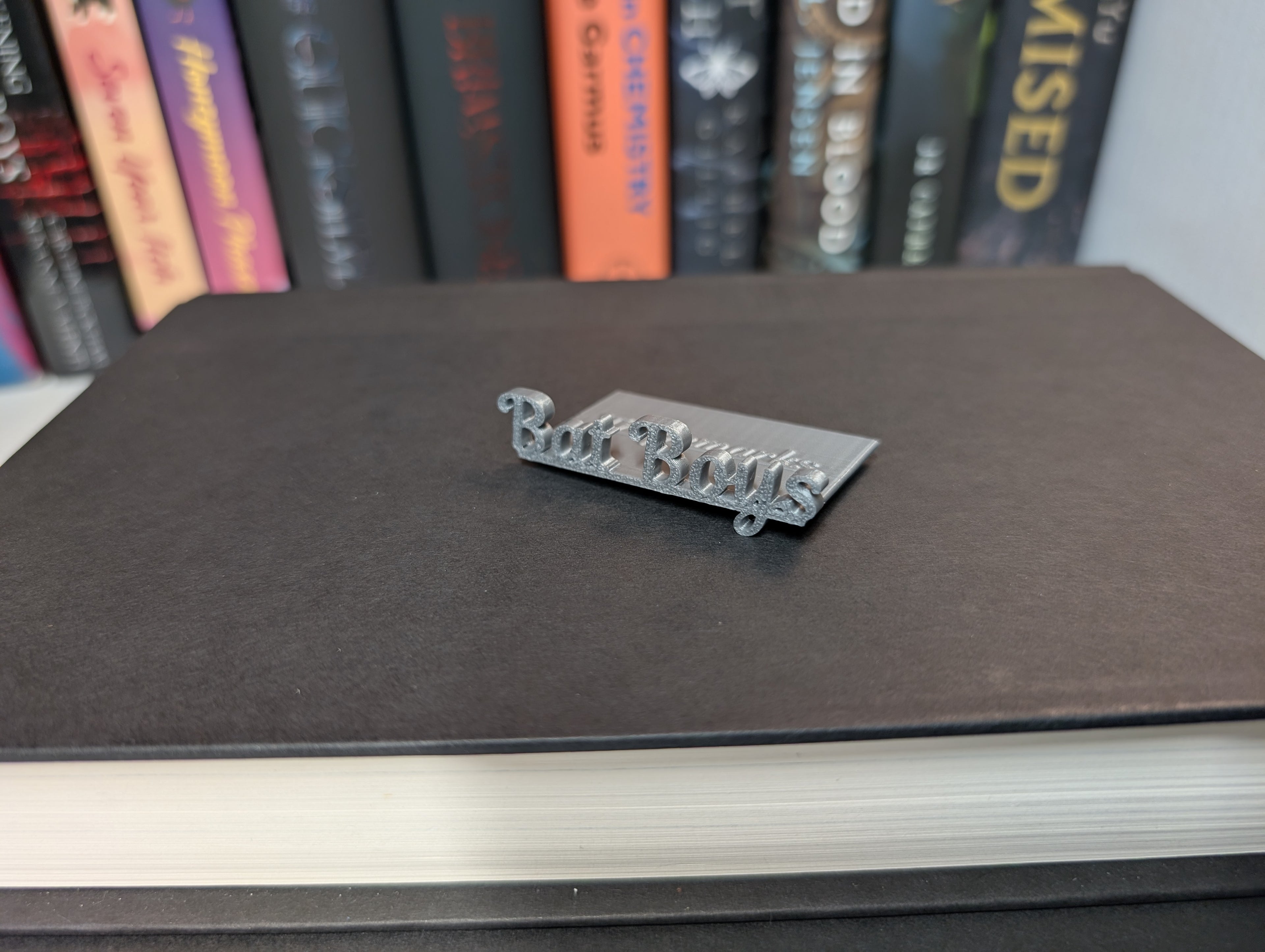 Bat Boys Bookmark